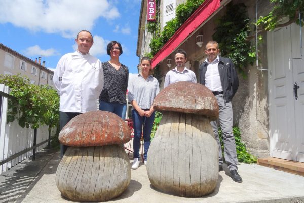 Borde La terrasse Saugues Chemins de saint jacques Le Puy Conques (11)