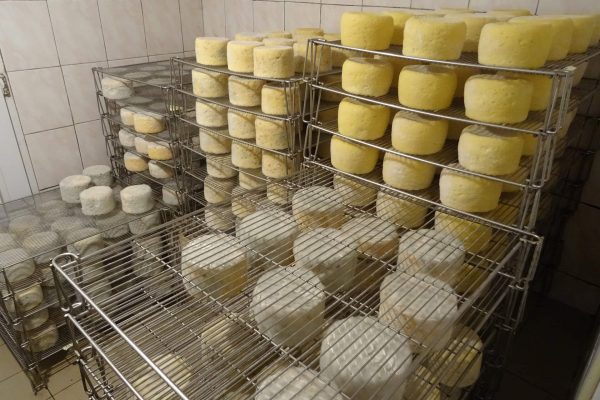 artisou-fromage-du-velay-haute-loire-4
